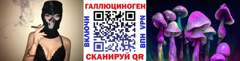 Псилоцибиновые грибы Psilocybine cubensis  Отрадное 