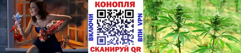 Конопля VHQ Отрадное